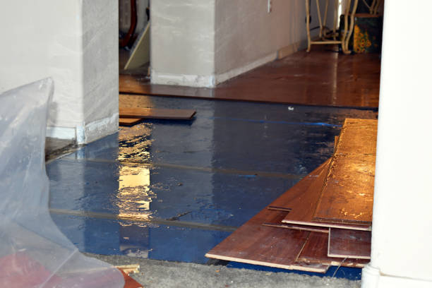 Professional Water Damage Restoration technician working in Braintree, MA